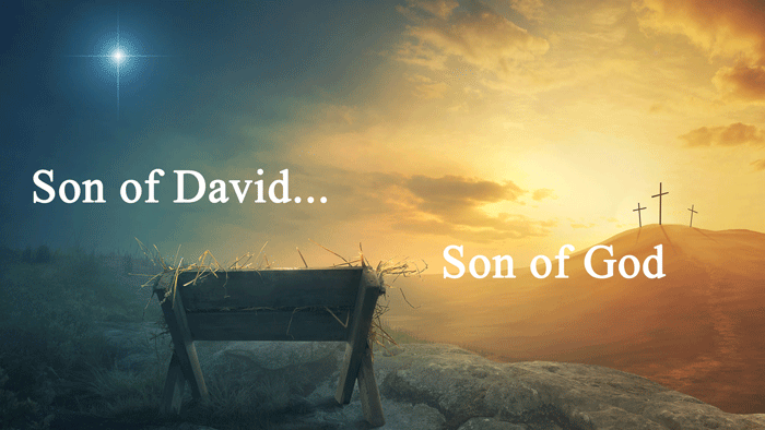 Son of David Son of God